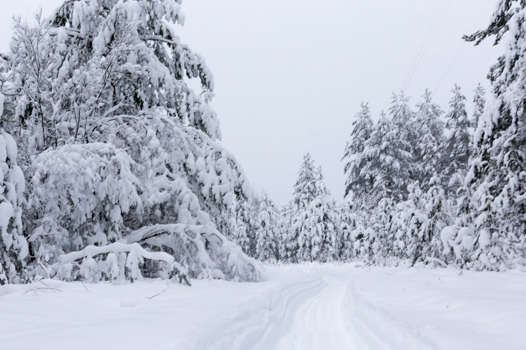 snow driving winter tires