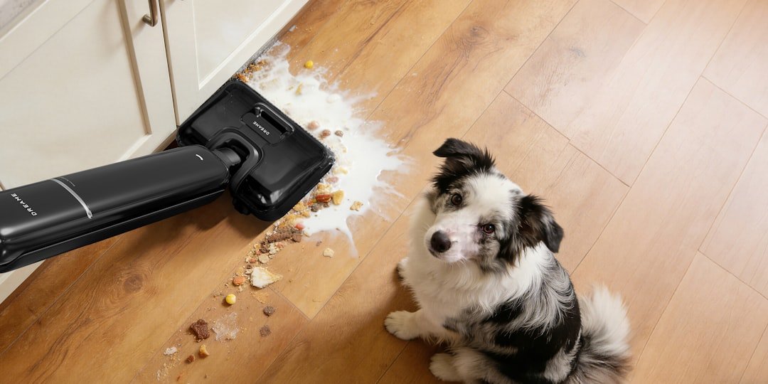 car vacuum cleaner pet hair