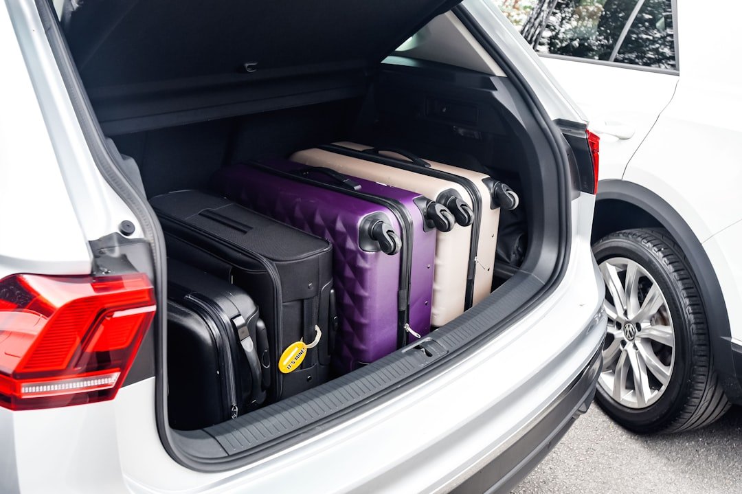 SUV cargo organizer