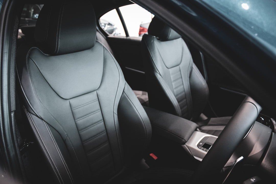 leather car seat protection