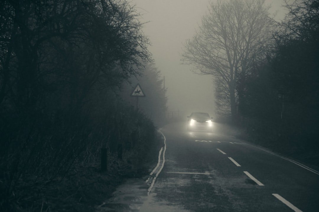 foggy car headlights