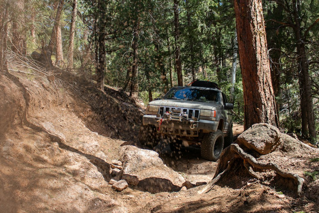 off road differential locker